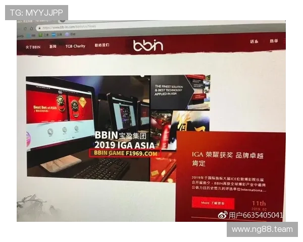全面解析BBIN彩票平台的安全措施与盈利模式